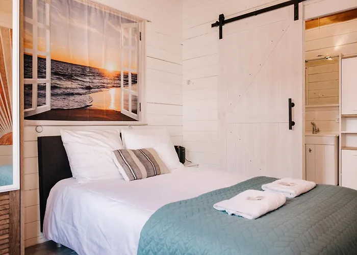 Rosa's Cottage, Garden And Free Parking Daire Zandvoort