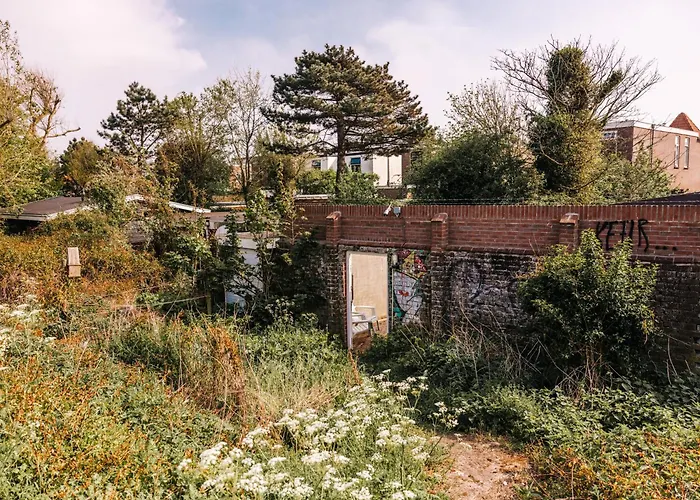 Rosa's Cottage, Garden And Free Parking